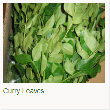 Curry Leaves