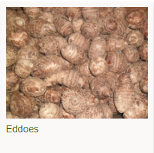 Eddoes