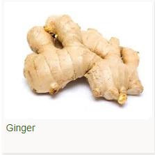 Ginger