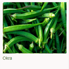 Okra