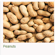 Peanuts